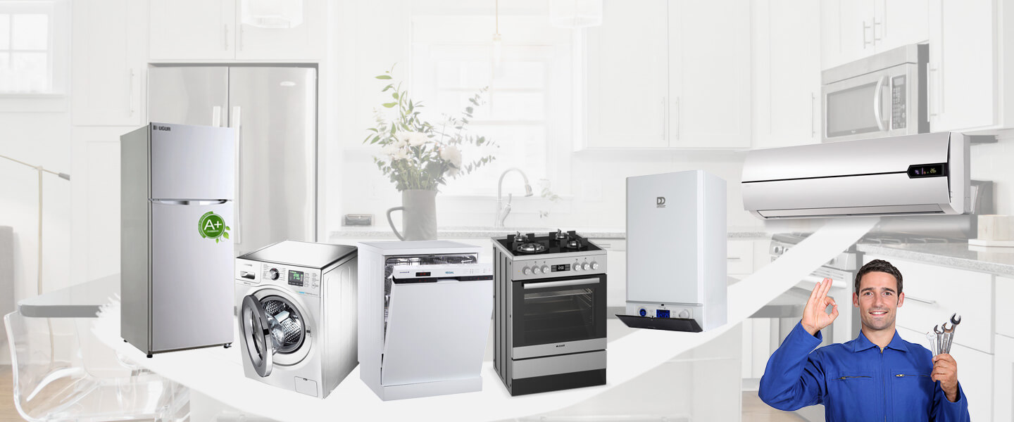 Ağın Gaggenau Servisi
